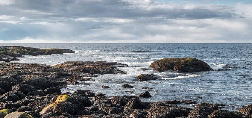 Тайны Арктики: приключения за северным полюсом (для организованных групп) - Изображение 0