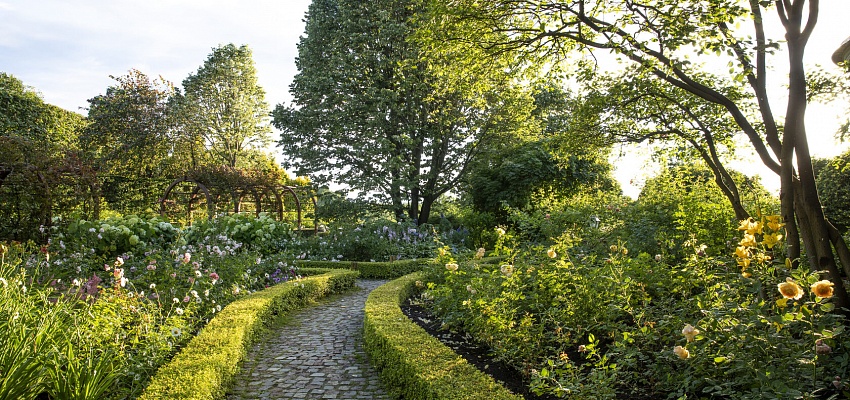 Французские мотивы: ландшафтный сад Ореховно и гастрономия - Изображение 0