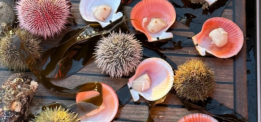 Новый год на Кольском полуострове и Карелии 2026 - Изображение 0