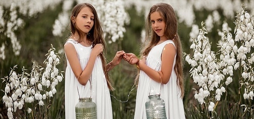 Гомельский прованс - Изображение 0