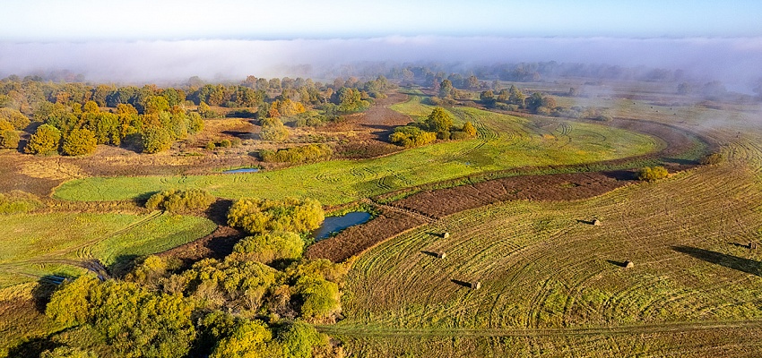 Море Геродота и Туров  - Изображение 0