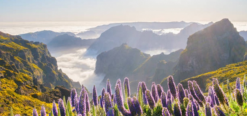 Авиатур в Португалию! - Изображение 0